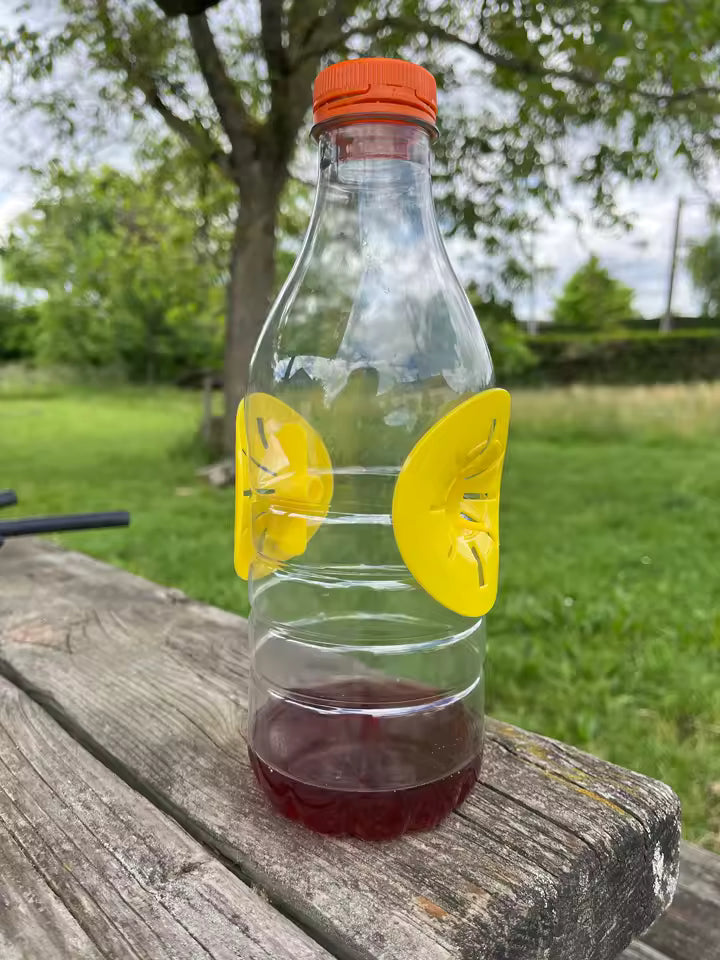 Piège à frelon asiatique - Capture garantie