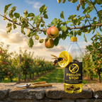 Piège à frelon asiatique - Capture garantie